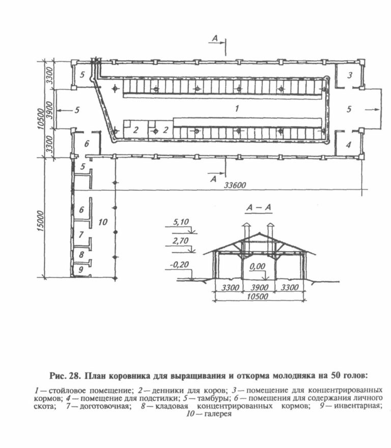 Схема расположения в коровнике