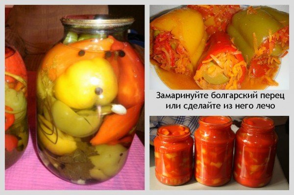 как заготовить болгарский перец на зиму