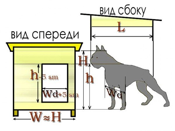 будка для собаки размеры