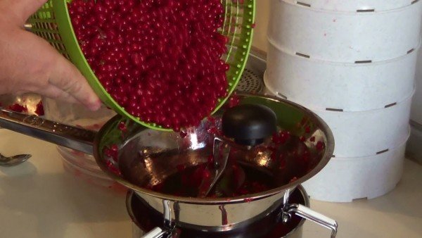 очищенные и промытые ягоды смородины перед готовкой