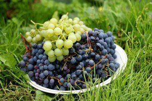 Белый и синий виноград в миске