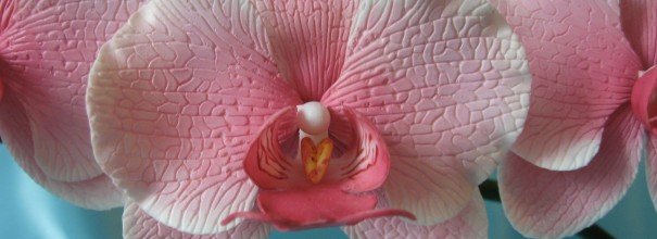 орхидея из мастики