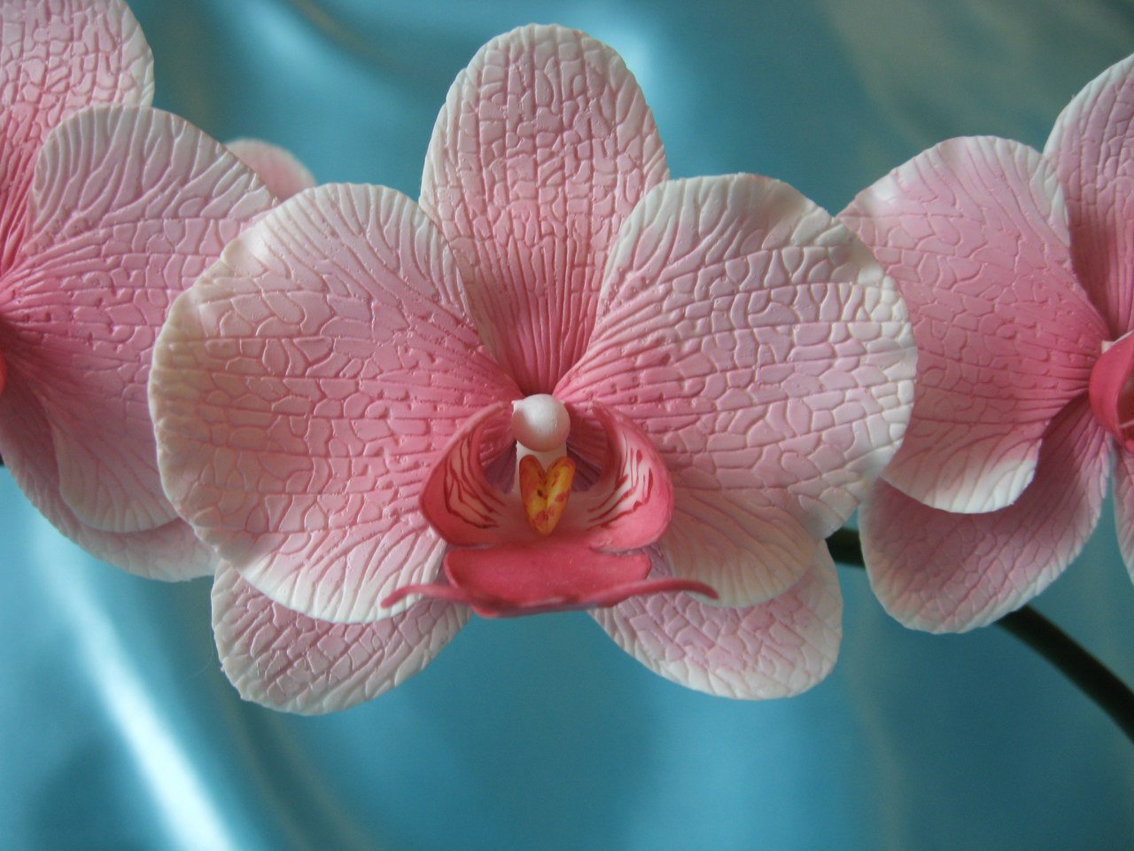 Торт Праздничный № 546, декор цветы орхидеи из сахарной мастики