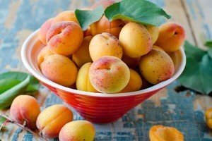 Урожай абрикосов