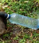 Капельный полив при помощи пластиковых бутылок