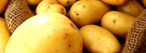 картофель лимонка