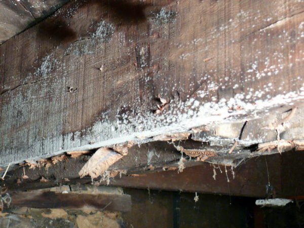 Как избавиться от сырости в деревянном доме