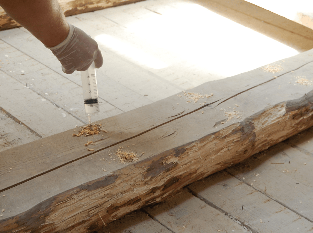 обработка древесины от шашеля