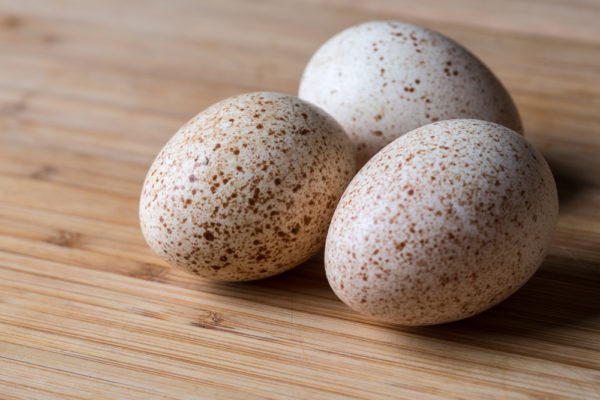 Индюшачьи яйца