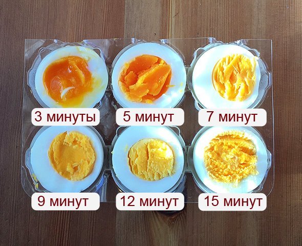 Яйца разной степени готовности