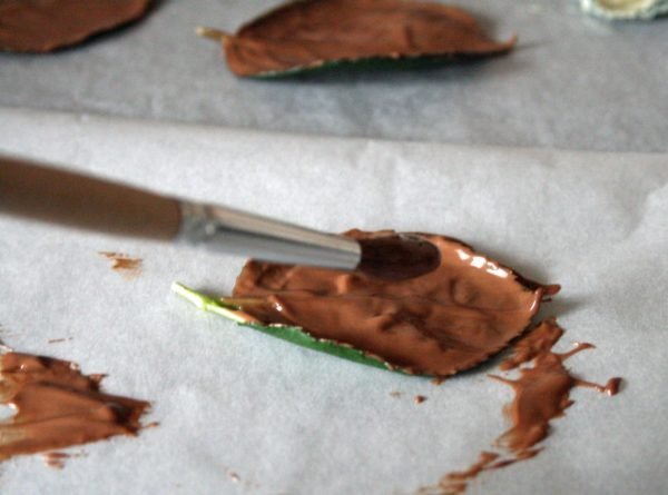 нанесение шоколада на листья
