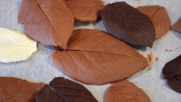 шоколадные листья