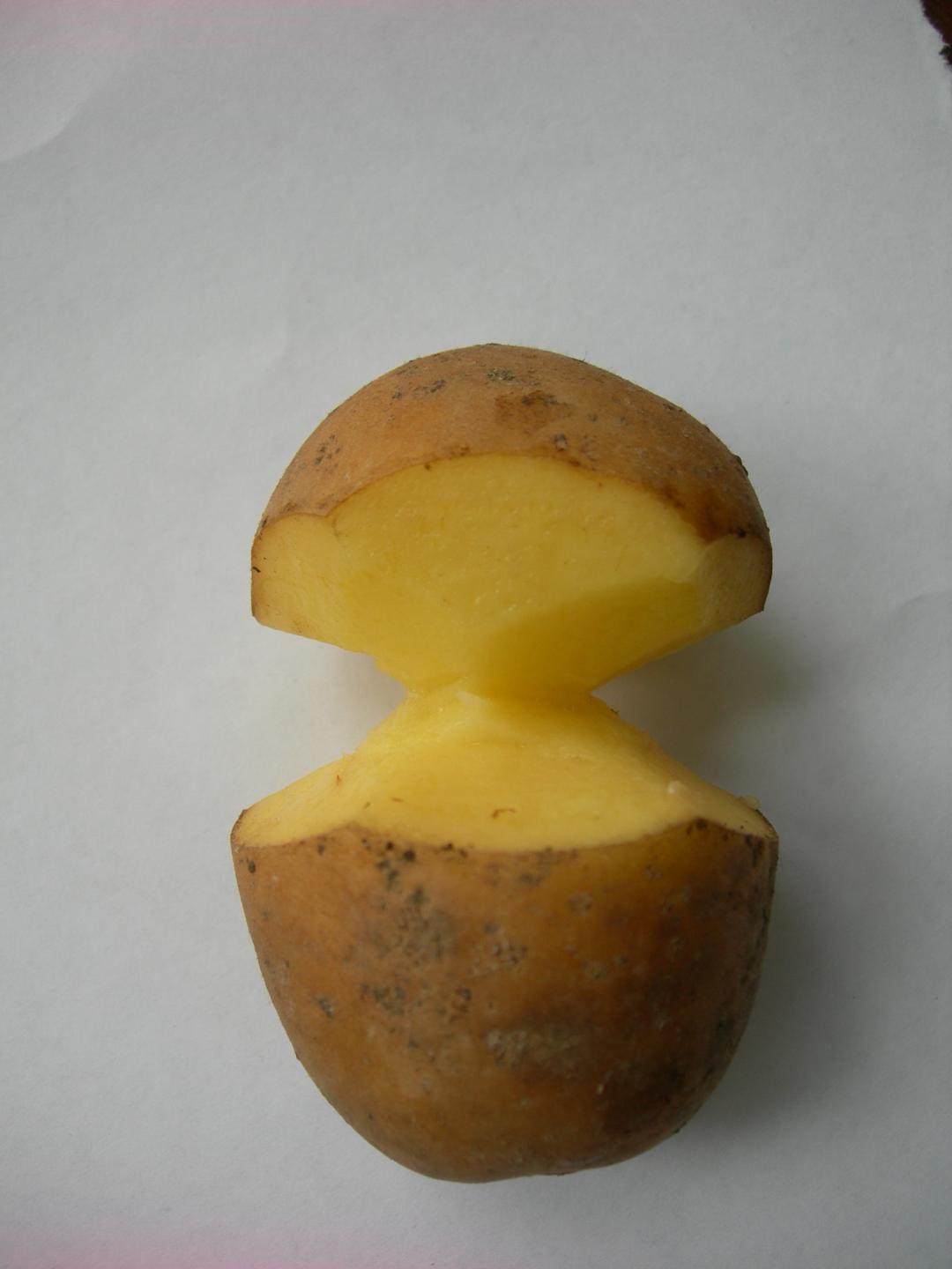 Режем картофель перед посадкой. Картофель. Китайский метод посадки картофеля. Китайская картошка. Китайский метод выращивания картошки.
