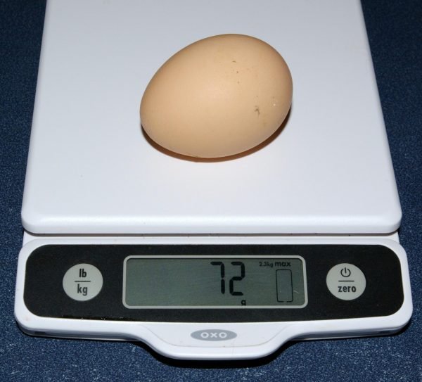 Куриное яйцо на электронных весах