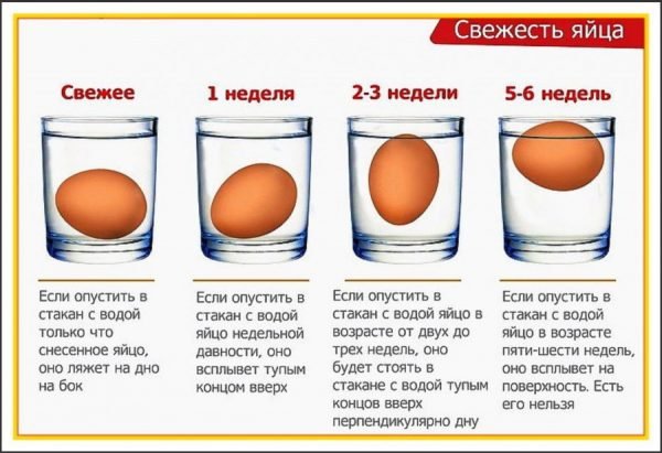 Схема определения свежести яйца при помощи воды
