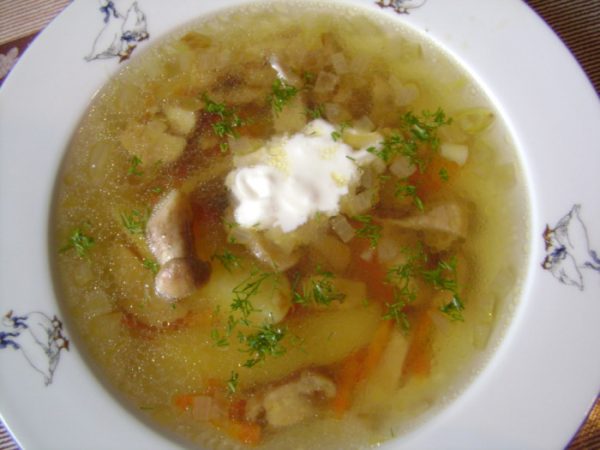 Грибной суп со сметаной и свежим укропом в порционной тарелке