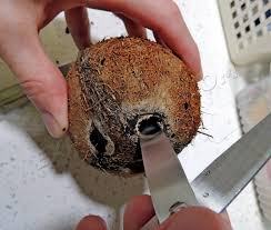 Как сделать отверстие в кокосе