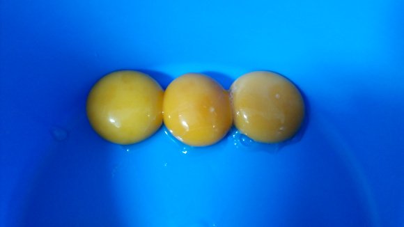Три яичных желтка в миске