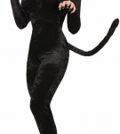 Взрослый костюм «Кошка»
