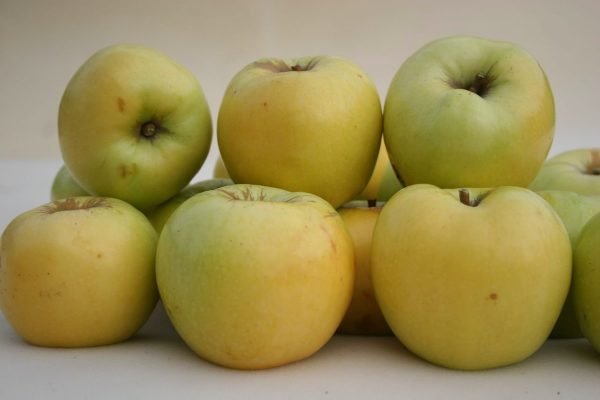 Яблоки сорта Антоновка