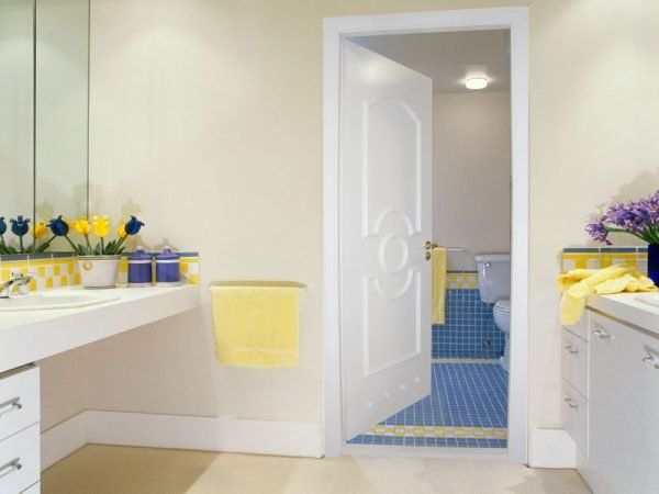 Металлопластиковая дверь для ванной