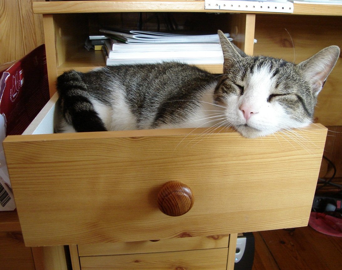 Домик для кошки своими руками (60 фото): можно сделать деревянный, построить из фанеры, свой самодельный дома, как выбрать