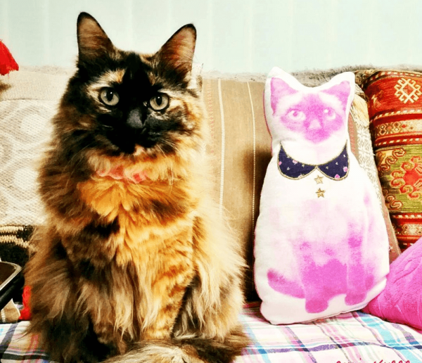 Кошка и статуэтка