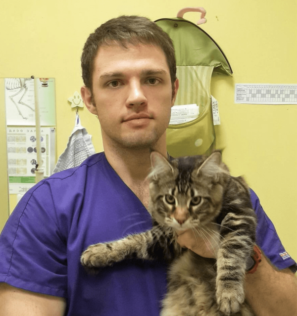 Котёнок у ветеринара
