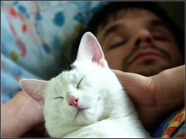 Кот спит с хозяином