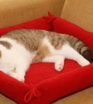 Кот в прямоугольном красном лежаке со сшитыми складками на углах бортика