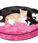 Розовая лежанка-подушка с бортиком в виде растянувшегося чёрно-белого кота, на ней — рыжий котёнок