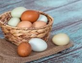 Белые и коричневые яйца
