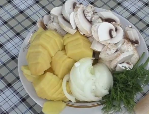 Подготовленные к приготовлению шампиньоны, репчатый лук и картофель на тарелке с зеленью