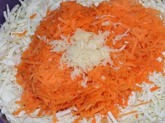 Нашинкованная капуста, тёртая морковь и измельчённый чеснок в большой ёмкости