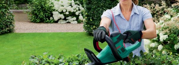 10 садовых инструментов, о которых не могли мечтать наши бабушки (садовый, инструмент, мечтать, бабушка) инструмент