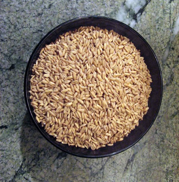 Овсяное зерно