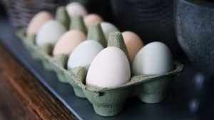 Яйца в лотке