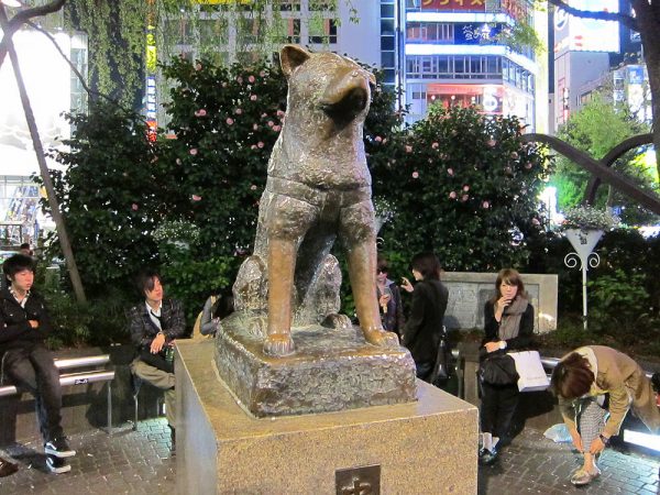 памятник Хатико в Японии